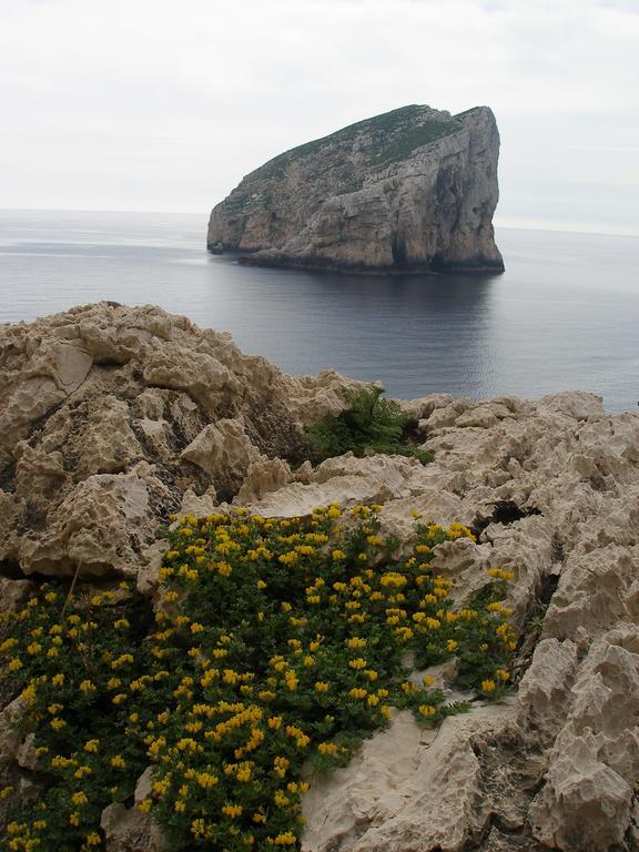 Giramondo Sardegna Affittacamere Alghero Exterior foto